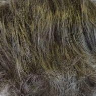 Just Right wig - Natural Image