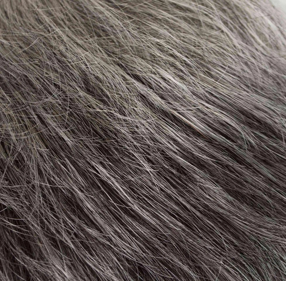 Lily Wig by Tony of Beverly | Synthetic Wig (Traditional Cap)