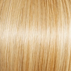 Love Wig by Gabor | Heat Friendly Synthetic (Traditional Cap)