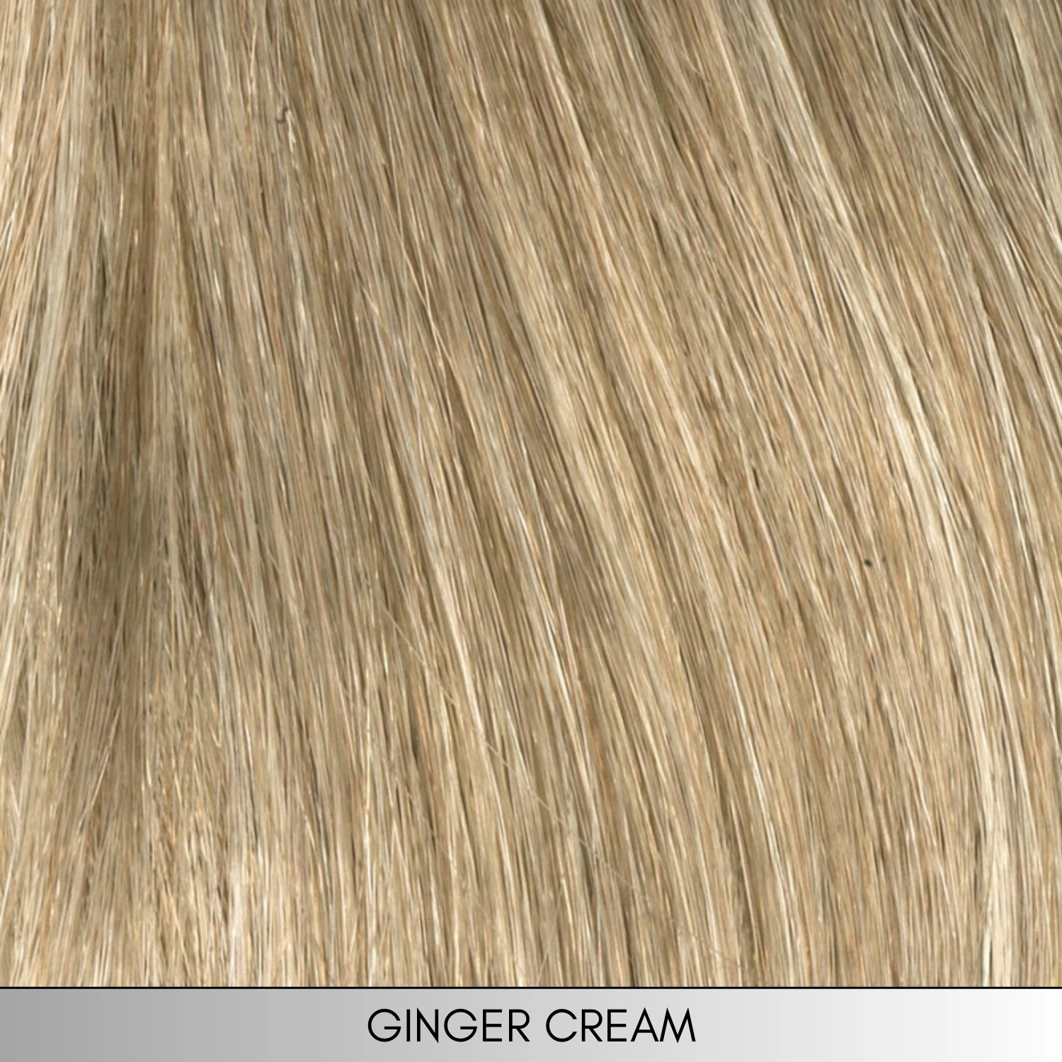 Marita - Synthetic Wig Collection by Envy
