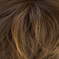 Nour wig - Noriko