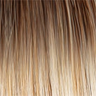 On The Cover wig - Raquel Welch Collection