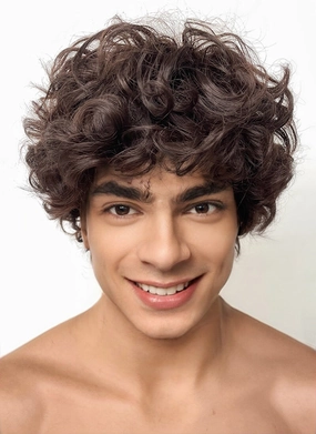 One Piece Monkey D. Luffy Brunette Curly Synthetic Hair Men's Wig TB1659