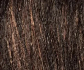 Penelope wig - Envy Collection