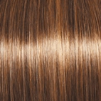 Perfection Wig by Gabor | Synthetic (Lace Front Mono Part)