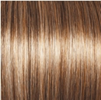 Perfection Wig by Gabor | Synthetic (Lace Front Mono Part)