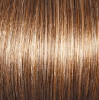 Perfection Wig by Gabor | Synthetic (Lace Front Mono Part)