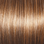 Perfection Wig by Gabor | Synthetic (Lace Front Mono Part)