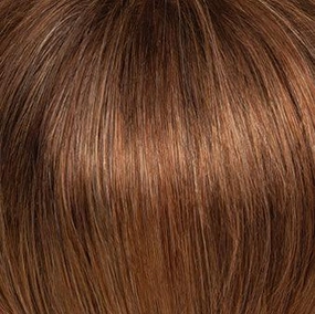 Perfection Wig by Gabor | Synthetic (Lace Front Mono Part)