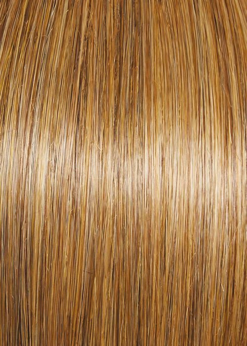 Prosperity Wig by Gabor | Heat Friendly Synthetic Hair | Average Cap