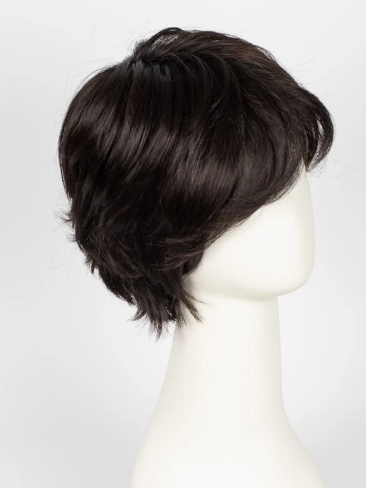 Raise | Synthetic Lace Front Wig