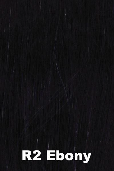 Raquel Welch Wigs - Center Stage