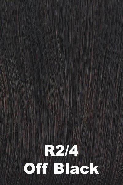 Raquel Welch Wigs - Flirting With Fashion