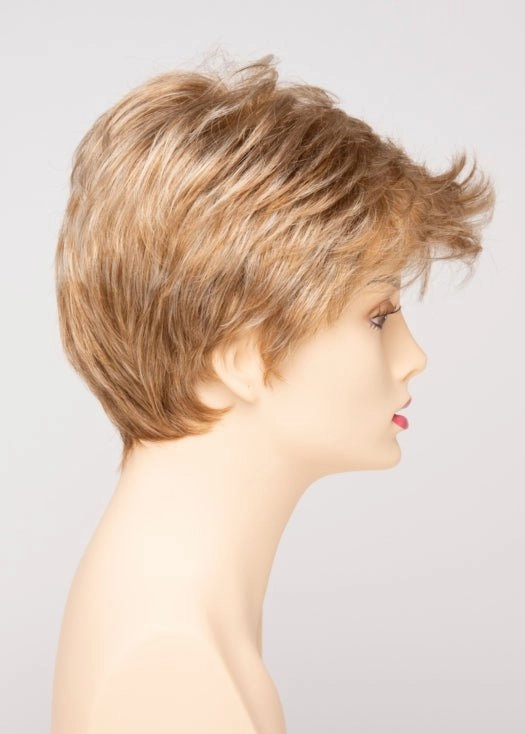 Raven | Synthetic Lace Front Wig (Basic Cap)