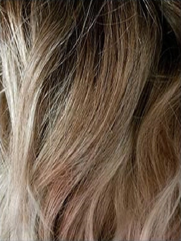 Sage Wig by Rene of Paris | Synthetic Hair | Average Cap
