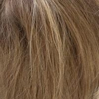 Sandie wig - Noriko