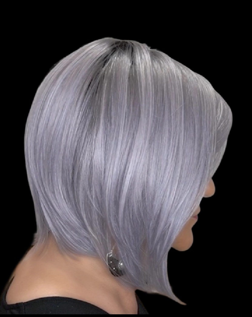Silky Sleek Wig by Rene of Paris | Heat Friendly Synthetic Hair | Average Cap