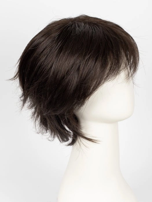 Sky Large | Synthetic Wig (Basic Cap)