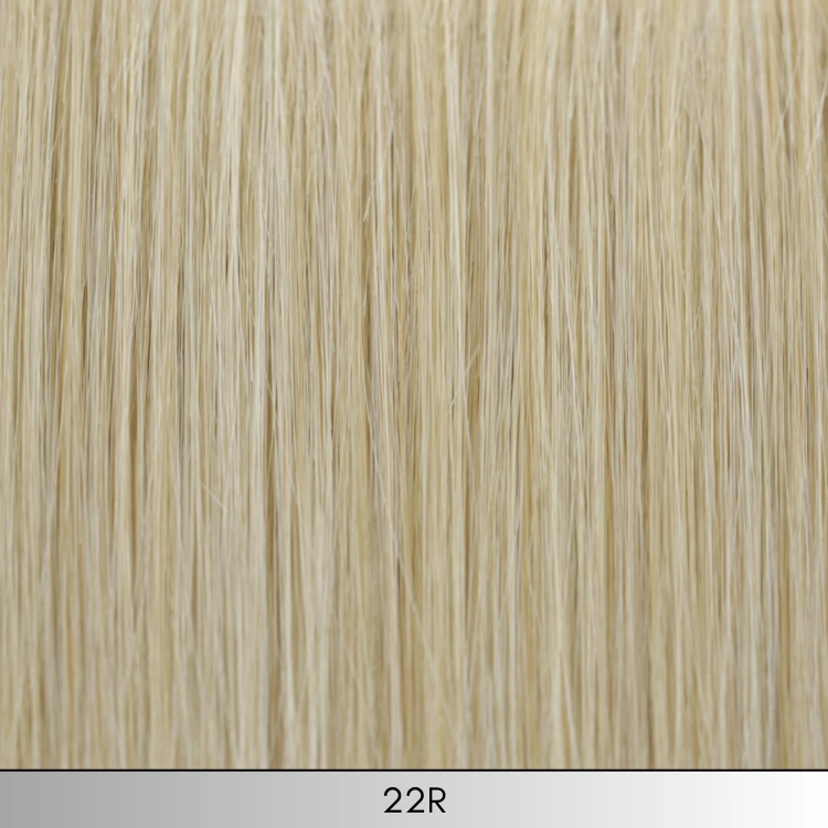 Sleek & Straight -  Look Fabulous Collection by TressAllure ***CLEARANCE***