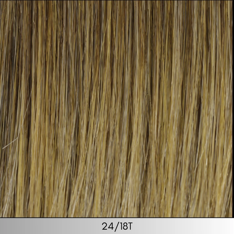 Sleek & Straight -  Look Fabulous Collection by TressAllure ***CLEARANCE***