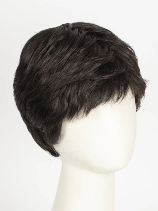 Straight Chic | Synthetic Lace Front Wig (Mono Crown)