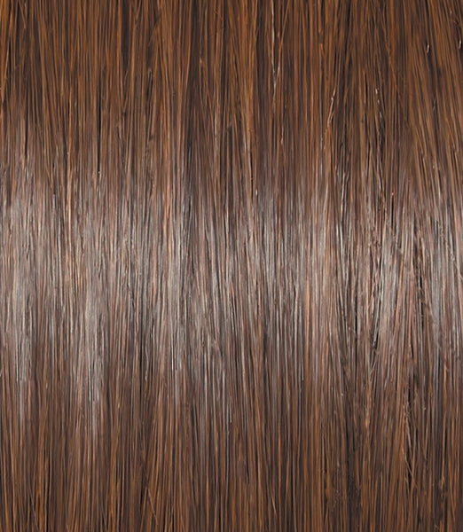 Untold Story Wig by Raquel Welch | Heat Friendly Synthetic | SHIRLEY'S CLOSET WIGS | FINAL SALE