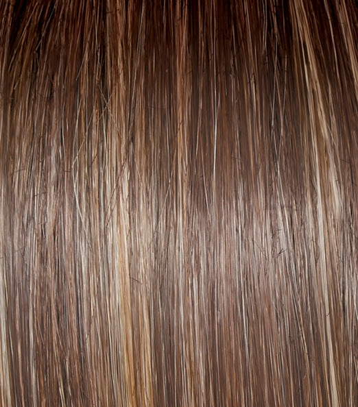 Untold Story Wig by Raquel Welch | Heat Friendly Synthetic | SHIRLEY'S CLOSET WIGS | FINAL SALE