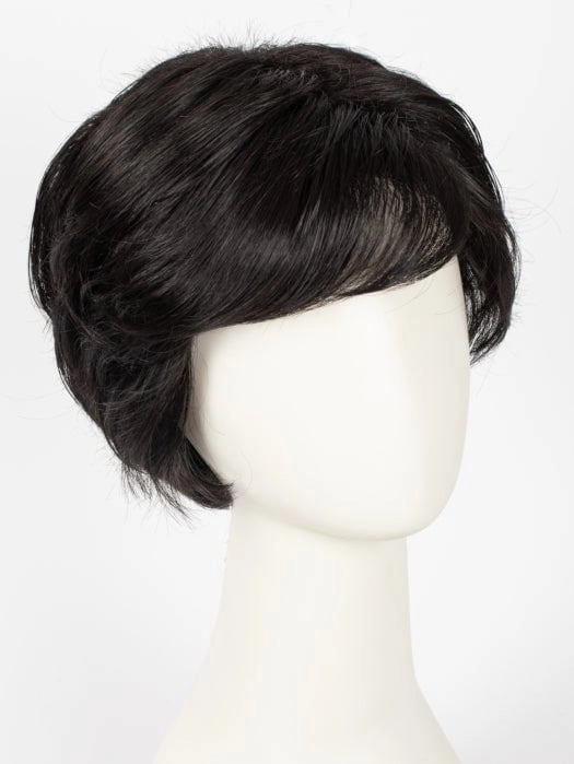 Vanessa | HF Synthetic Lace Front Wig (Basic Cap)