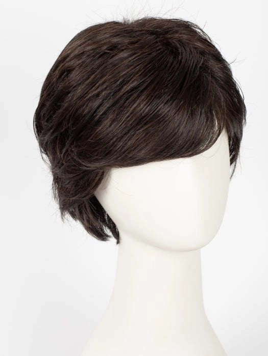 Vanessa | HF Synthetic Lace Front Wig (Basic Cap)