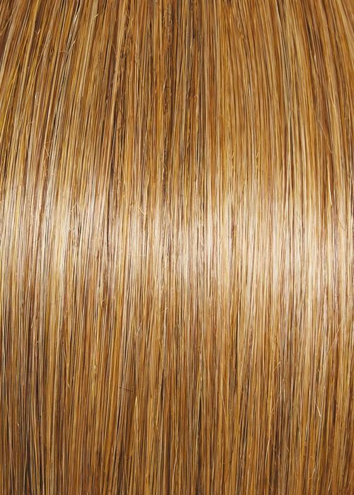 Visionary Wig by Gabor | Heat Friendly Synthetic Hair | Average Cap