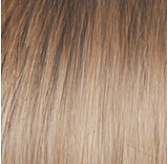 Voltage Elite Wig by Raquel Welch | Synthetic (Monofilament Top)