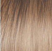 Voltage Large Wig by Raquel Welch | Synthetic (Basic Cap)