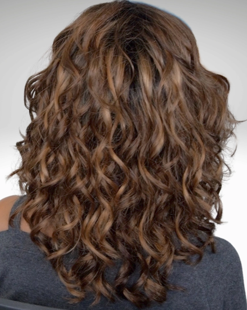 Wanted Wig by Ellen Wille | Synthetic Hair | Petite/Average Cap