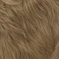 Young Small wig - Gisela Mayer