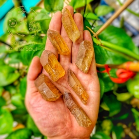 Zambian Citrine Points